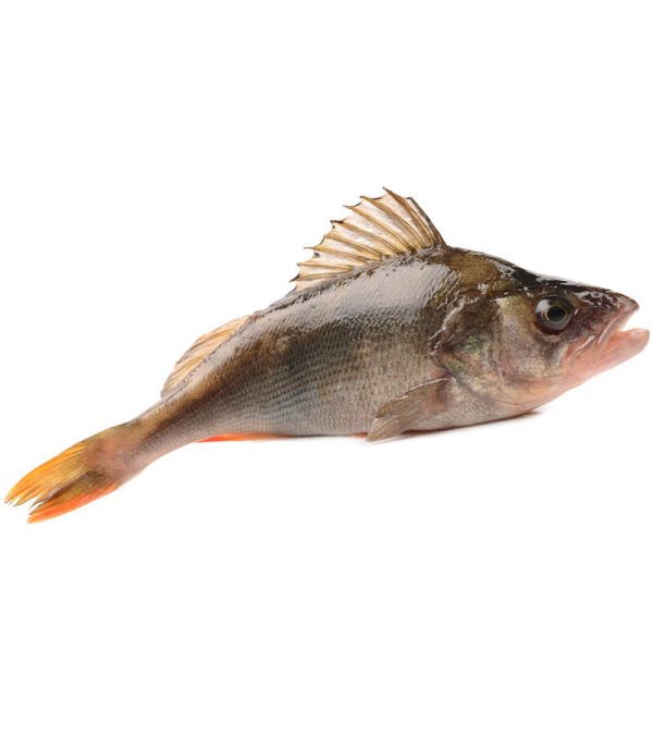 shop29-product-4-4 Product Image