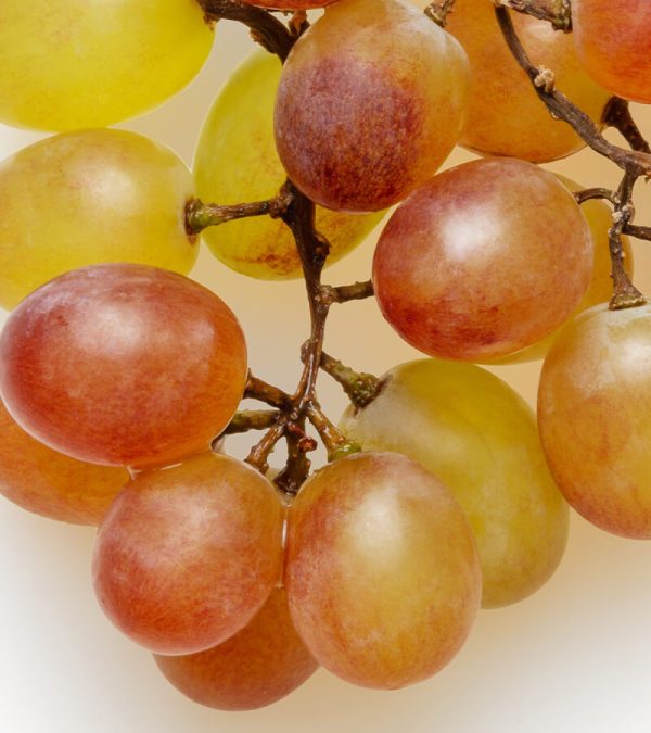 shop29-product-6-4 Product Image