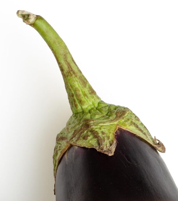 shop29-product-7-4 Product Image