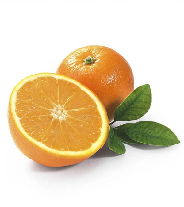 shop29-product-8-1 Product Image