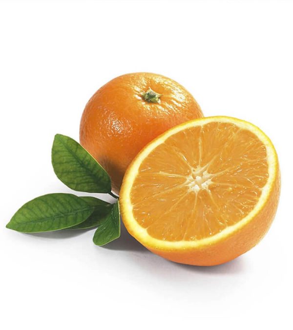 shop29-product-8-2 Product Image