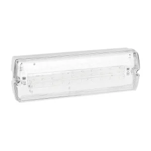 LUZ DE EMERGENCIA LED LIGHT 3W 75K 128LM IP65 WH 100-240V/50-60HZ