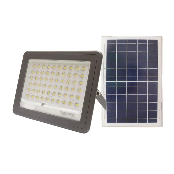 AnyConv.com__WEB-21-2 REFLECTOR SOLAR 100W ALT 6500K 1000LM IP65 - Imagen 1