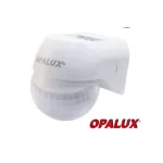 AnyConv.com__WEB-44-1